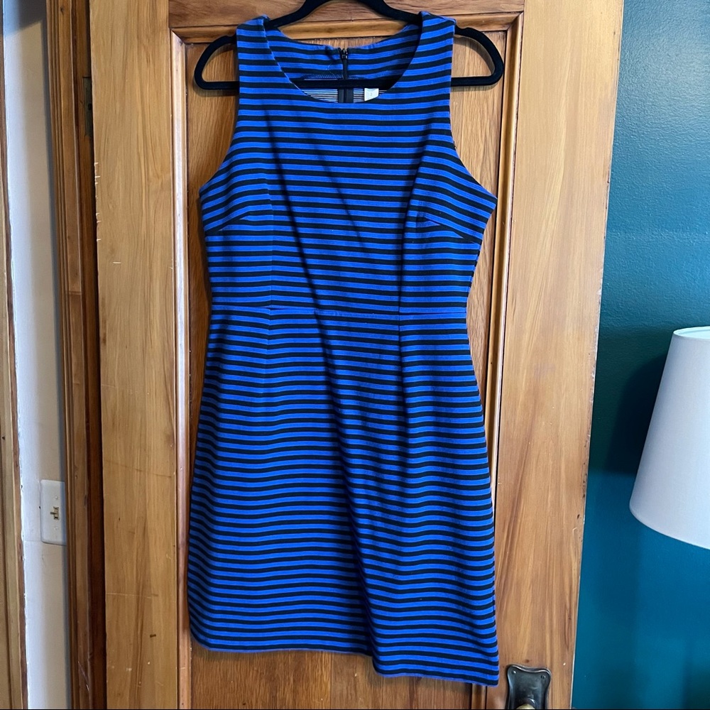 Black and royal blue striped shift dress